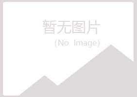 江城区曼山能源有限公司